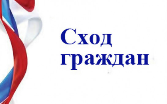 Сход граждан Сход граждан.