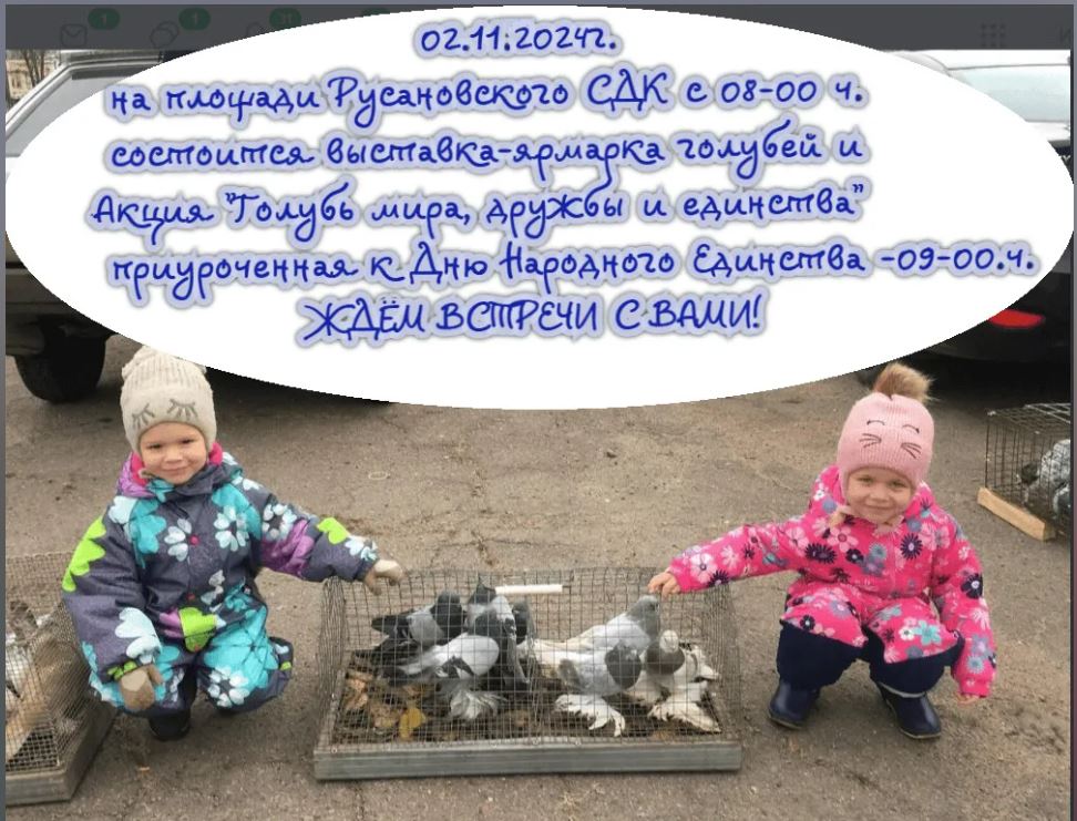 Выставка-ярмарка голубей Выставка-ярмарка голубей.