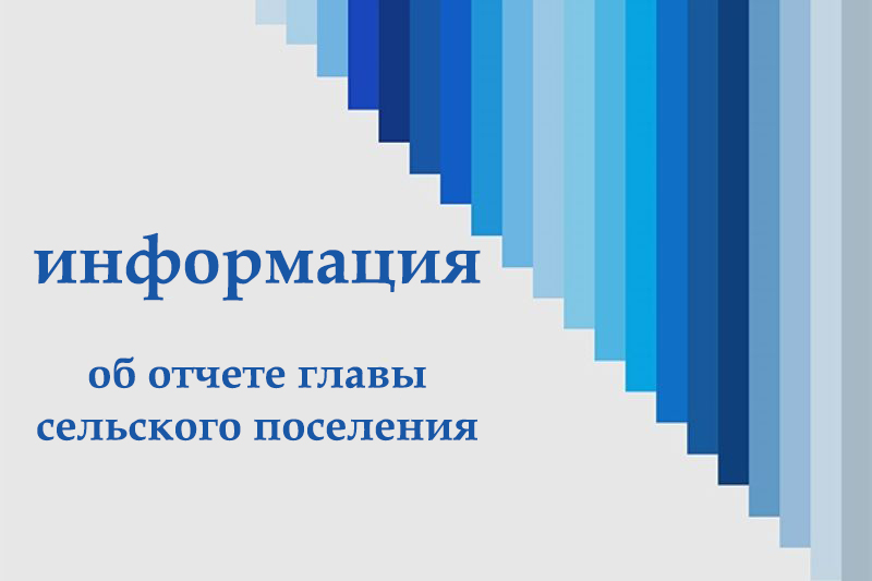 Отчет главы Русановского сельского поселения Отчет главы Русановского сельского поселения.