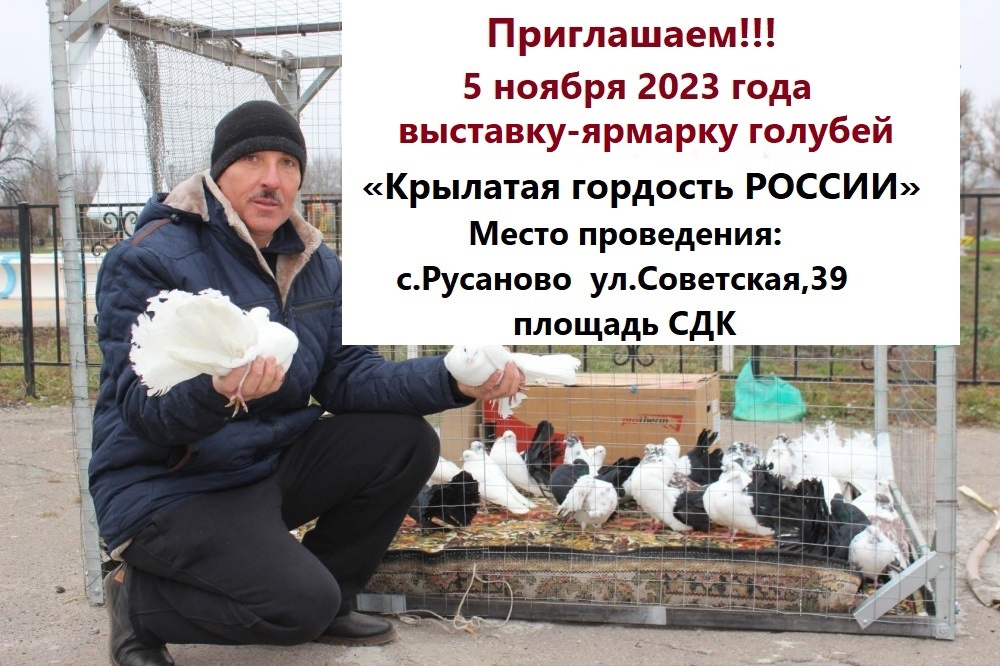 В Русаново пройдет выставка-ярмарка голубей.
